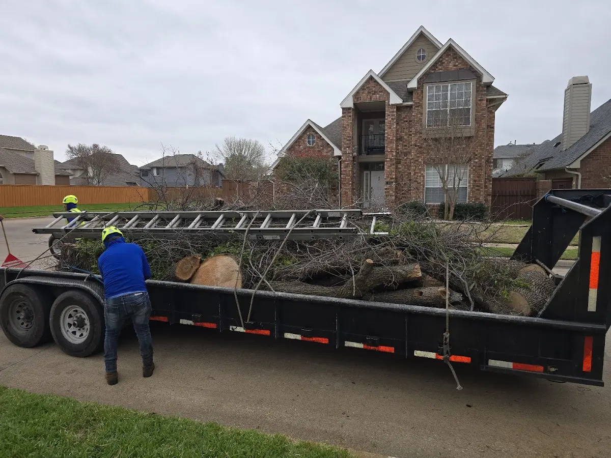 Expert Tree Removal with proper safety equipment in Canadian